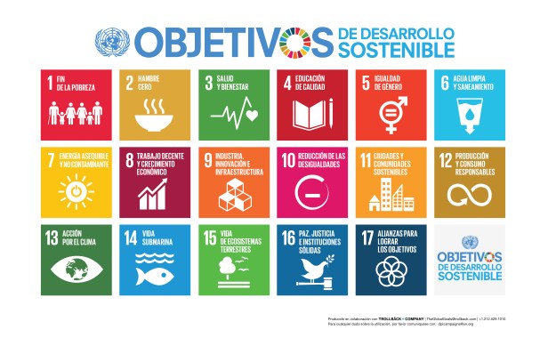 S SDG Poster_-Tabloid